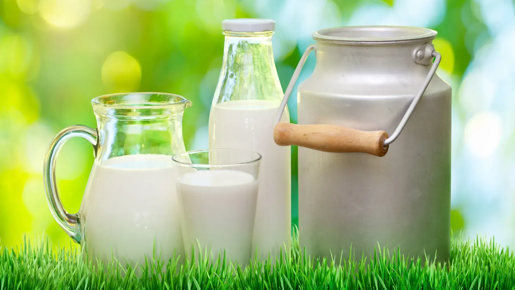 Milks and Dairies
